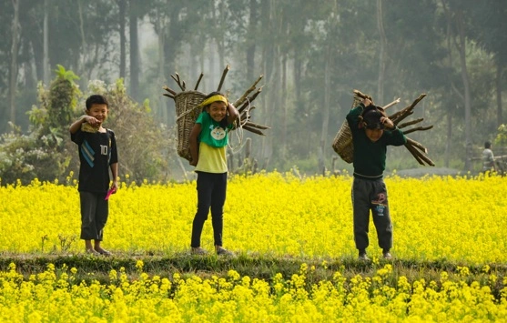 SPLAKDHN GPS tracker dealers and installation services in North East India